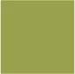 D-5 Olive Yellow