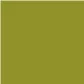 D-16 Moss Green