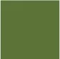 D-17 Cactus Green