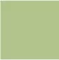 LG-06 Mist Green