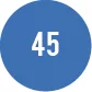 45 French Blue